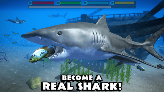 Ultimate Shark Simulator 1.2 Apk + Mod for Android 1