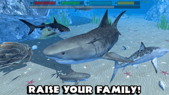 Ultimate Shark Simulator 1.2 Apk + Mod for Android 5