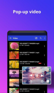 Video Player All Format (PREMIUM) 2.0.4 Apk + Mod for Android 3
