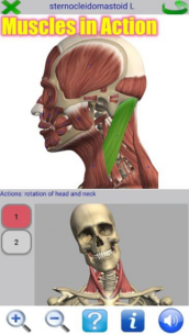 Visual Anatomy 2 0.44 Apk for Android 1