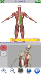 Visual Anatomy 2 0.44 Apk for Android 2