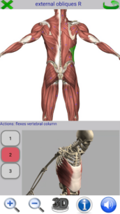 Visual Anatomy 2 0.44 Apk for Android 4