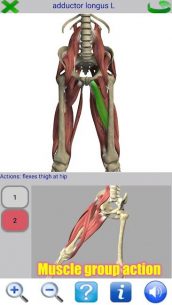 Visual Anatomy 5.1 Apk for Android 3