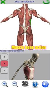 Visual Anatomy 5.1 Apk for Android 4