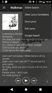 Walkman Lyrics Extension 5.4.1 Apk for Android 5