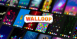 walloop pro video wallpapers cover