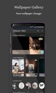 Wallpapers Gallery – HD Wallpapers & Backgrounds 1.10 Apk for Android 3