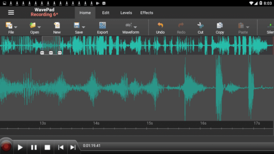 WavePad Master’s Edition 19.14 Apk for Android 1