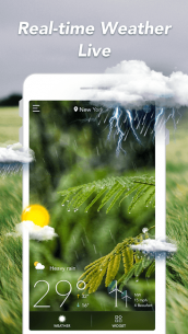 Weather Forecast – Live Weather & Radar & Widgets 1.64.0 Apk for Android 1