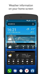 Yandex Weather 24.4.3 Apk for Android 5